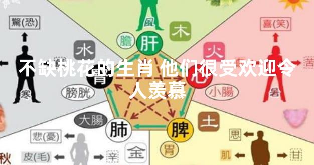 不缺桃花的生肖 他们很受欢迎令人羡慕